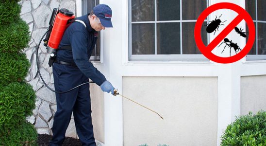 Güzelbahçe Fare İlaçlama böcek ilaçlama ve haşere kontrolü — ilaclama-tr.com
